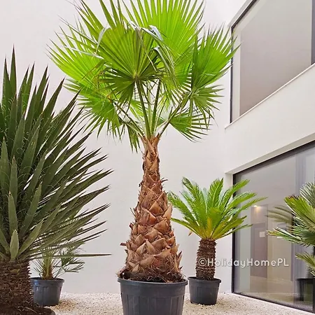 דירה Holidayhomepl Baltic Waves A320 Balkon, Sauna, Basen, Gym Gratis