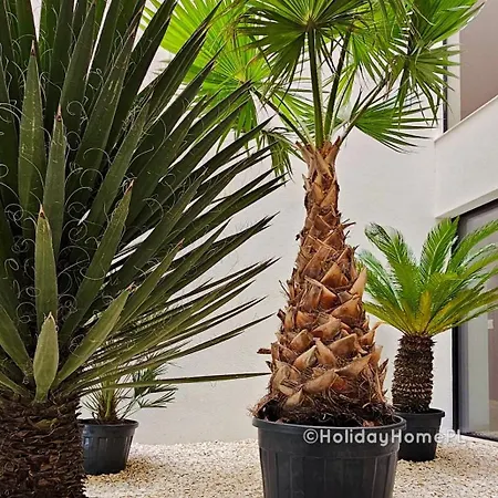 Holidayhomepl Baltic Waves A320 Balkon, Sauna, Basen, Gym Gratis דירה